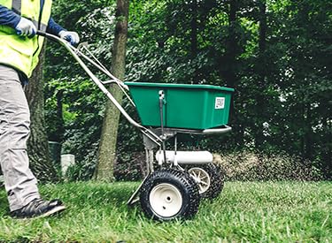 10 lbs Tall Fescue Grass Seed Blend P202