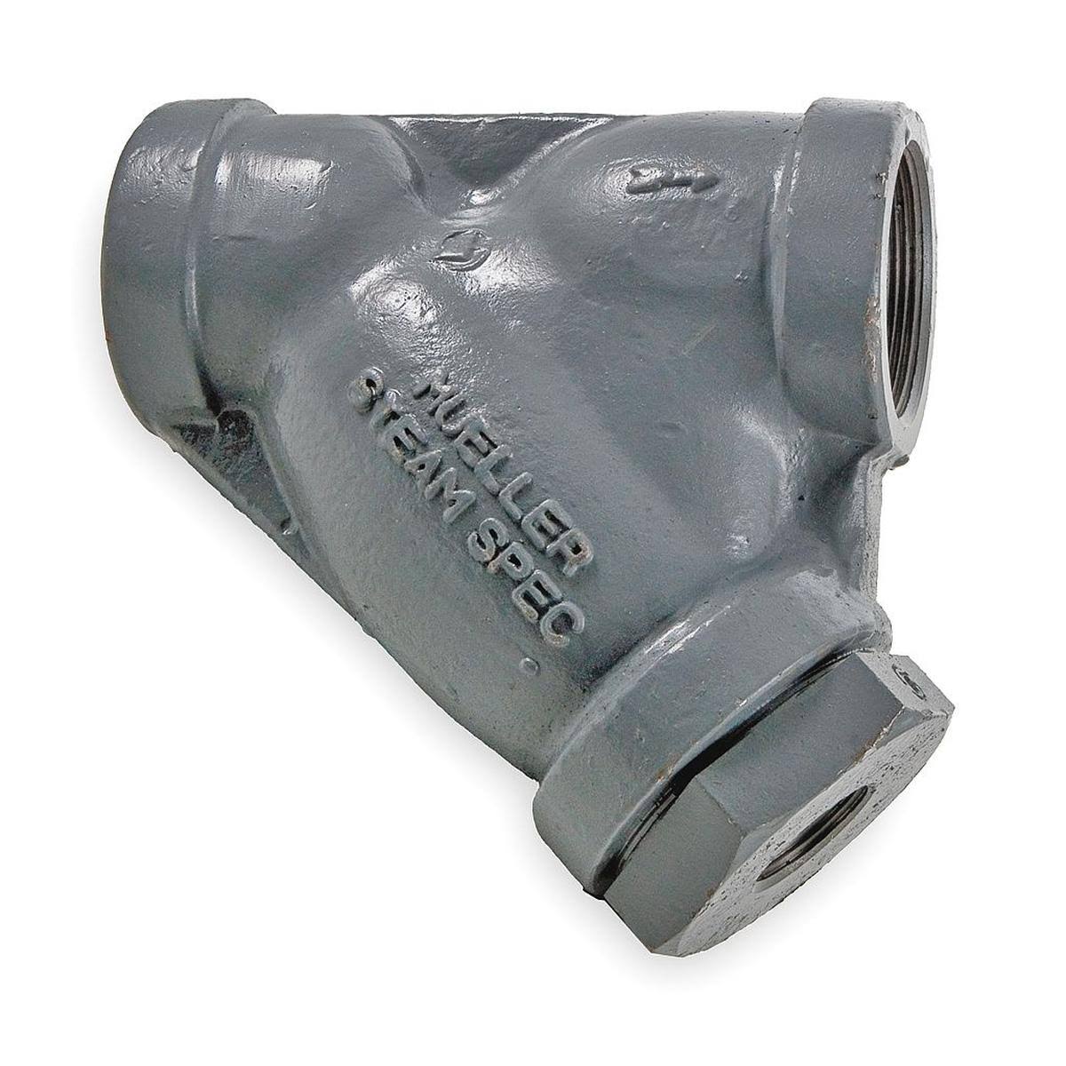 1 in FNPT x FNPT Cast Stainless Steel Y Strainer Z232