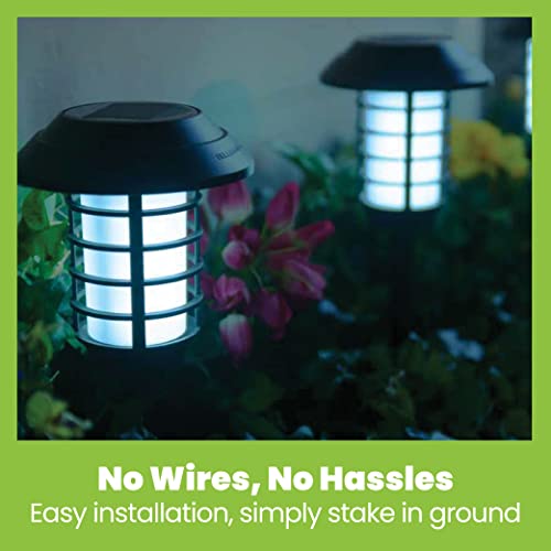 Solar Pathway Lights, 4 Packs Z98739
