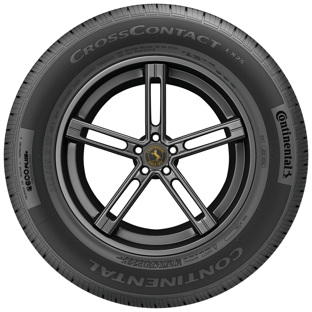 All Season 255/50R19 107H XL SUV/Crossover Tire E2972
